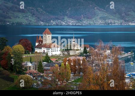 Veduta aerea del Castello di Spiez e della Chiesa del Castello al Lago di Thun - Spiez, Svizzera Foto Stock