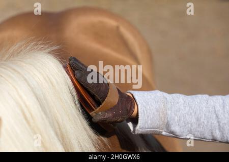 Primo piano della mano del bambino con i guanti che tengono la spazzola ed il cavallo di pony grooming Foto Stock