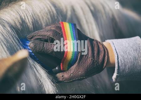 Primo piano della mano del bambino con i guanti che tengono la spazzola ed il cavallo di pony grooming Foto Stock