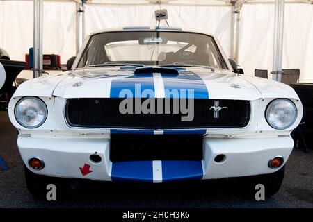 Italia, settembre 11 2021. Vallelunga classico. Leggende auto classico motorsport degli anni sessanta Shelby Mustang vista frontale Foto Stock