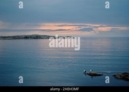 Pochi istanti dopo il tramonto nell'arcipelago di Fjällbacka sulla costa occidentale svedese Foto Stock