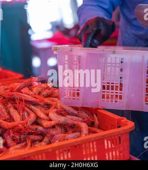 Gamberetti rossi in un contenitore di plastica, sullo sfondo sfocato di un venditore di guanti neri sul mercato del pesce a Guilford, BC. Vista sulla strada, foto di viaggio Foto Stock