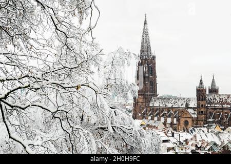Atmosfera invernale con neve, Cattedrale di Friburgo, Friburgo in Breisgau, Foresta Nera, Baden-Wuerttemberg, Germania Foto Stock