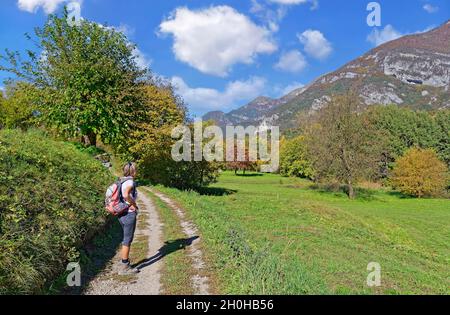 Escursionista nella Val Ledro autunnale, Ledro, Lago di Garda Ovest, Trentino, Italia Foto Stock