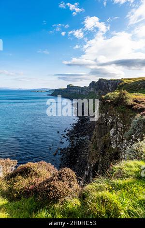 Rock Cliff da Kilt Rock Viewpoint, Isola di Skye, Scozia, Regno Unito Foto Stock