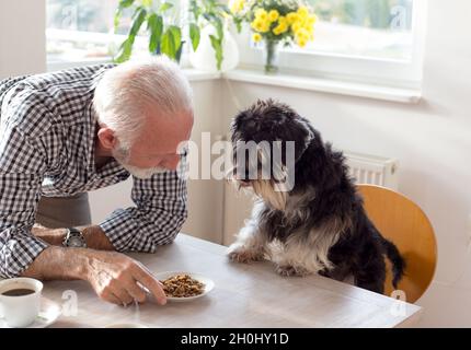 Uomo anziano che dà la treccia con cibo secco ad un cane sul tavolo da pranzo Foto Stock