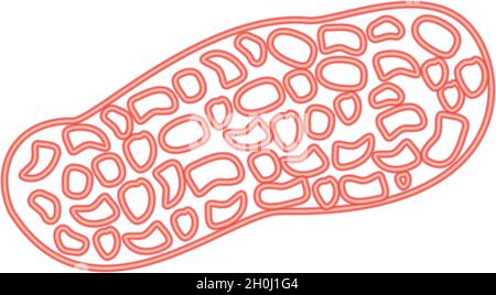 Immagine vettoriale di colore rosso di arachidi neon di stile piatto Illustrazione Vettoriale
