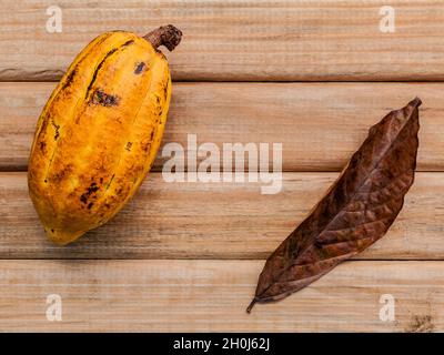 Mature in Indonesia i setup di cacao su legno rustico sfondo. Foto Stock