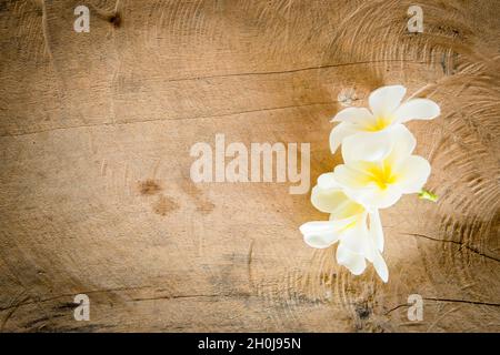 fiore di champa su sfondo di legno Foto Stock