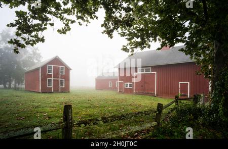 Barns a Fog East Windsor Hill Historic District   East Windsor, Connecticut, USA Foto Stock