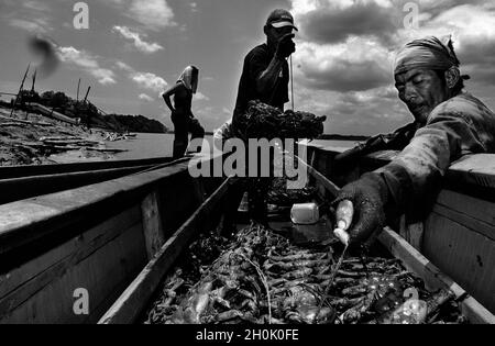 Progetto documentario, 'il Golfo dell'Oblivion' 2005-2007..Un progetto documentario sulla popolazione povera che vive nelle isole del Golfo di Guayaquil. Le barche sono accatastate con il pescato del giorno. Ecuador. Foto Stock