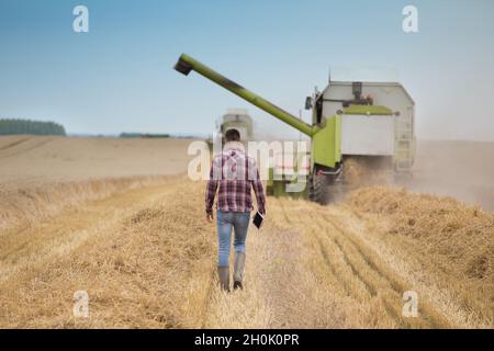 Vista posteriore di un bel contadino con la tavoletta che cammina davanti alla mietitrebbia durante la mietitura sul campo Foto Stock