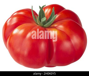 Reisetomate Heirloom costato pomodoro (Solanum lycopersicum frutta) isolato Foto Stock