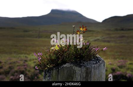 MacLeod's Table North Foto Stock