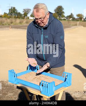 Roggentin, Germania. 13 ottobre 2021. Till Backhaus (SPD), ministro dell'Agricoltura di Meclemburgo-Pomerania occidentale, si trova in una scatola di allevamento con 10,000 vermi dopo la cerimonia simbolica di rottura per un impianto di produzione di farine di insetti della giovane società di start-up con sede a Rostock Inova Protein. In futuro, 1.5 tonnellate di farine di insetti al mese saranno prodotte a partire da vermi di palma nel locale di produzione, che misura poco meno di 800 metri quadrati. A maggio, il verme giallo (Tenebrio molitor) è stato il primo insetto approvato dall'UE come nuovo prodotto alimentare. Credit: Bernd/dpa/Alamy Live News Foto Stock