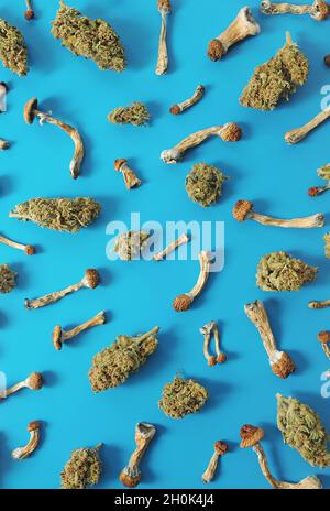 Concetto di microdosaggio. Modello di funghi psilocibin e boccioli di marijuana su sfondo blu. Viaggio psichedelico, concetto di convalida. Foto Stock