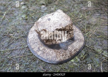 The Stone Roses in Concert, Heaton Park, ***USO EDITORIALE SOLO RIGOROSAMENTE NON MERCHANDISING*** Foto Stock