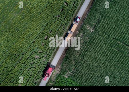 Immagine aerea del trattore con due rimorchi e mietitrebbiatrice che guida su strada rurale tra il campo di raccolto sparare dal drone Foto Stock