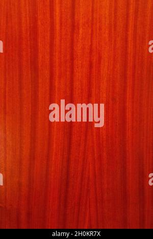 Sfondo verticale in legno verniciato di colore scuro, per desktop, carta da parati, testo Foto Stock