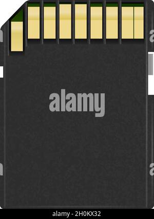 Illustrazione del lato di contatto delle schede SD e di memoria, isolata in bianco Illustrazione Vettoriale