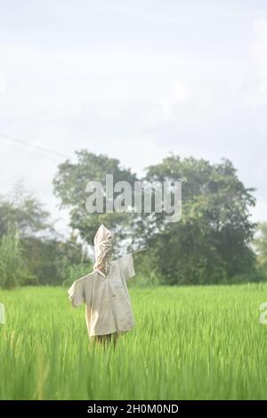 Colpo verticale di una scarabea in abiti sporchi con alberi e cielo sullo sfondo Foto Stock