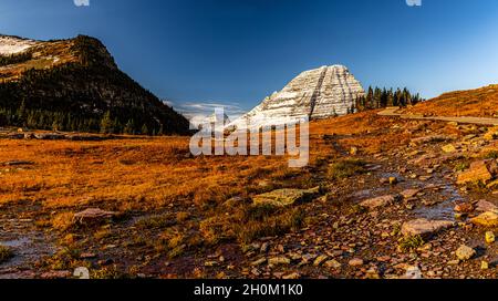 Bear Hat Mountain e Hidden Lake Pass, Glacier National Park, Montana, USA Foto Stock