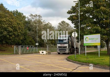 Autocarri che lasciano la fabbrica di barbabietole da zucchero di Cantley dopo aver ribaltato il carico di barbabietole da zucchero Foto Stock