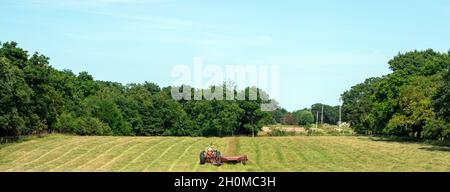 Le file sono state tagliate nel hayfield e l'agricoltore sta facendo l'ultimo viaggio attraverso questo paesaggio pascolo Foto Stock