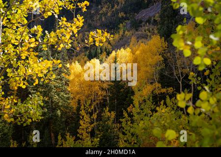 American Fork Canyon, Utah - Ottobre 2021 Foto Stock