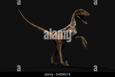 Illustrazione 3d posa di deinonychus antirrhopus i dinosauri più iconici e rappresentativi su sfondo scuro con percorso di taglio. Concetto dinosauri. Foto Stock