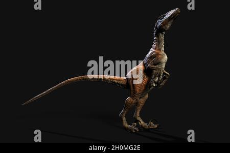 Illustrazione 3d posa di deinonychus antirrhopus i dinosauri più iconici e rappresentativi su sfondo scuro con percorso di taglio. Concetto dinosauri. Foto Stock