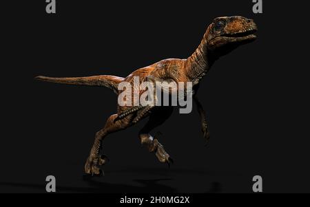 Illustrazione 3d posa di deinonychus antirrhopus i dinosauri più iconici e rappresentativi su sfondo scuro con percorso di taglio. Concetto dinosauri. Foto Stock