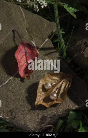 I moderni orecchini dorati si abbinano a tema autunnale all'aperto Foto Stock