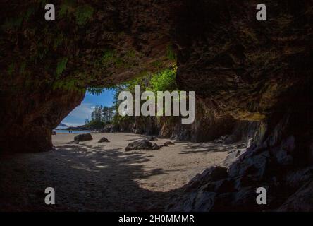 Ammira la spiaggia che si affaccia sulle grotte del Cape Scott Provincial Park, Vancouver Island Foto Stock