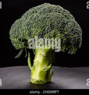 CAVOLO BROCKOLI IN FORMA DI ALBERO VERDE SU SFONDO NERO Foto Stock