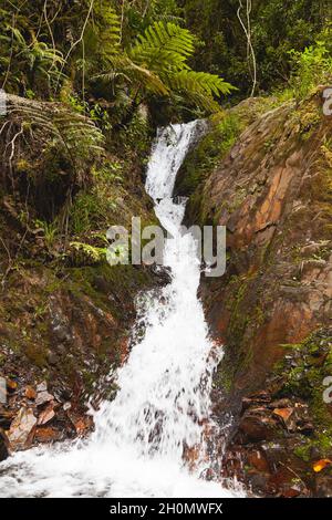 Cascate nascoste tra la foresta amazzonica, vicino al fiume Madre de Dios, nella zona della foresta nuvolosa di ​​Peru e le Ande, Manu National Park, P Foto Stock