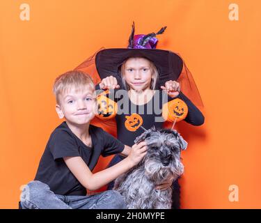 Halloween vacanza in famiglia. Una ragazza in costume da strega che tiene un cesto di strega con dolci e un ragazzo e un cane su sfondo arancione. Halloween Spooky Foto Stock