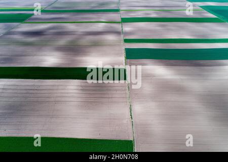 Forme geometriche astratte di parcelle agricole di colture diverse. Scatto con vista aerea dal drone Foto Stock