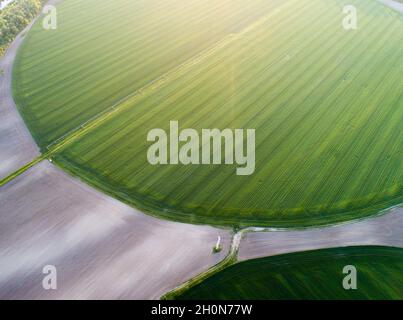 Vista aerea del sistema di perno centrale di irrigazione su campo di grano di forma rotonda in primavera sparare dal drone Foto Stock