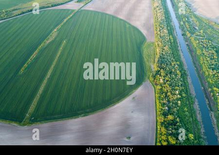 Vista aerea del sistema di perno centrale di irrigazione su campo di grano di forma rotonda in primavera sparare dal drone Foto Stock