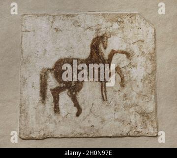 Affresco raffigurante un cavallo. xii secolo. Fregio della navata settentrionale. Cattedrale di Faras (Sudan). Faras Gallery. Museo Nazionale. Varsavia. Polonia. Foto Stock