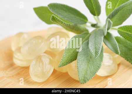 Salvia lozenges per cura mal di gola e tosse. Foglie di salvia o di salvia officinalis pianta. Foto Stock