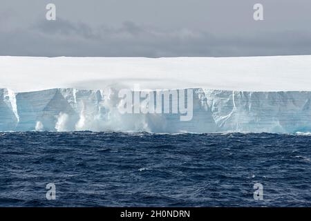 Iceberg tabulare calving in mare. Oceano Meridionale, Antartide Foto Stock