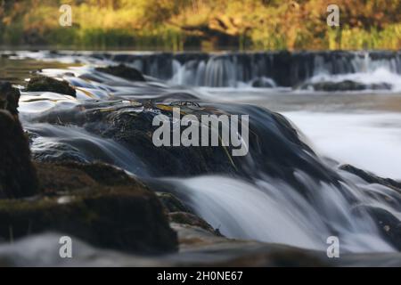 Primo piano di cascate sul fiume Dobra in Croazia Foto Stock