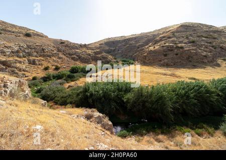 Canne e un ruscello sullo sfondo dei deserti di Wadi Kelt all'interno dei quali scorre il torrente Prat Foto Stock