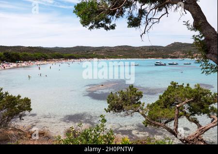 Corsica: spiaggia nella baia di Santa Giulia con turisti e acqua traslucida, nella Corsica meridionale Foto Stock