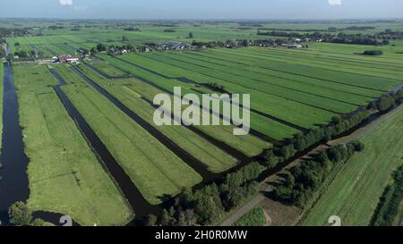 Vista aerea di un prato con mucche bianche e nere olandesi vicino alla città di 'Krimpen aan den IJssel, nella provincia di 'Zuid-Holland', Paesi Bassi Foto Stock