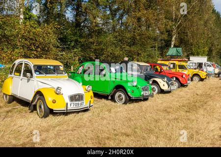 Fila di Citroen 2CV auto parcheggiate in un evento in Hampshire, Regno Unito Foto Stock