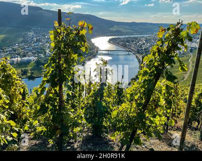 DEU, Deutschland, Rheinland-Pfalz, Mehring, 08.10.2021: Blick auf Mehring an der Mosel im Landkreis Trier-Saarburg in Rheinland-Pfalz Foto Stock