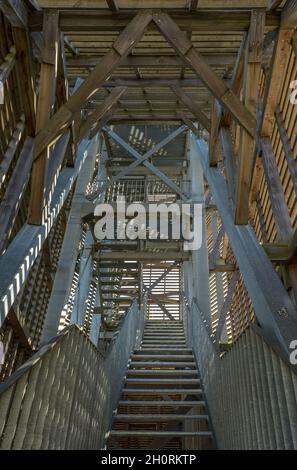 Scala nella torre di osservazione del Parco Regionale Rhein-Main, Floersheim, Germania Foto Stock